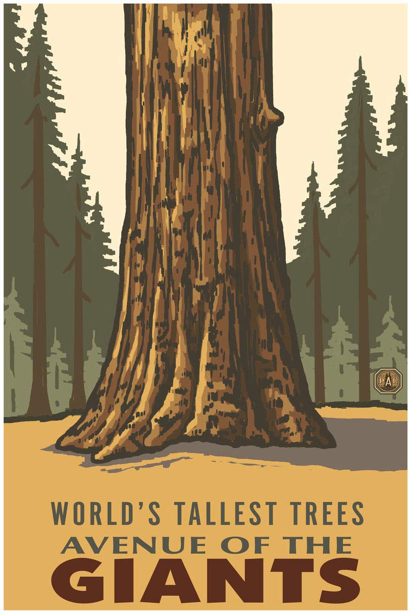 Giant Redwoods Art Print - Avenue of the Giants Landscape Poster 30x45 Inch by Paul A. Lanquist | Nature Wall Decor for Living Room, Office & Cabin