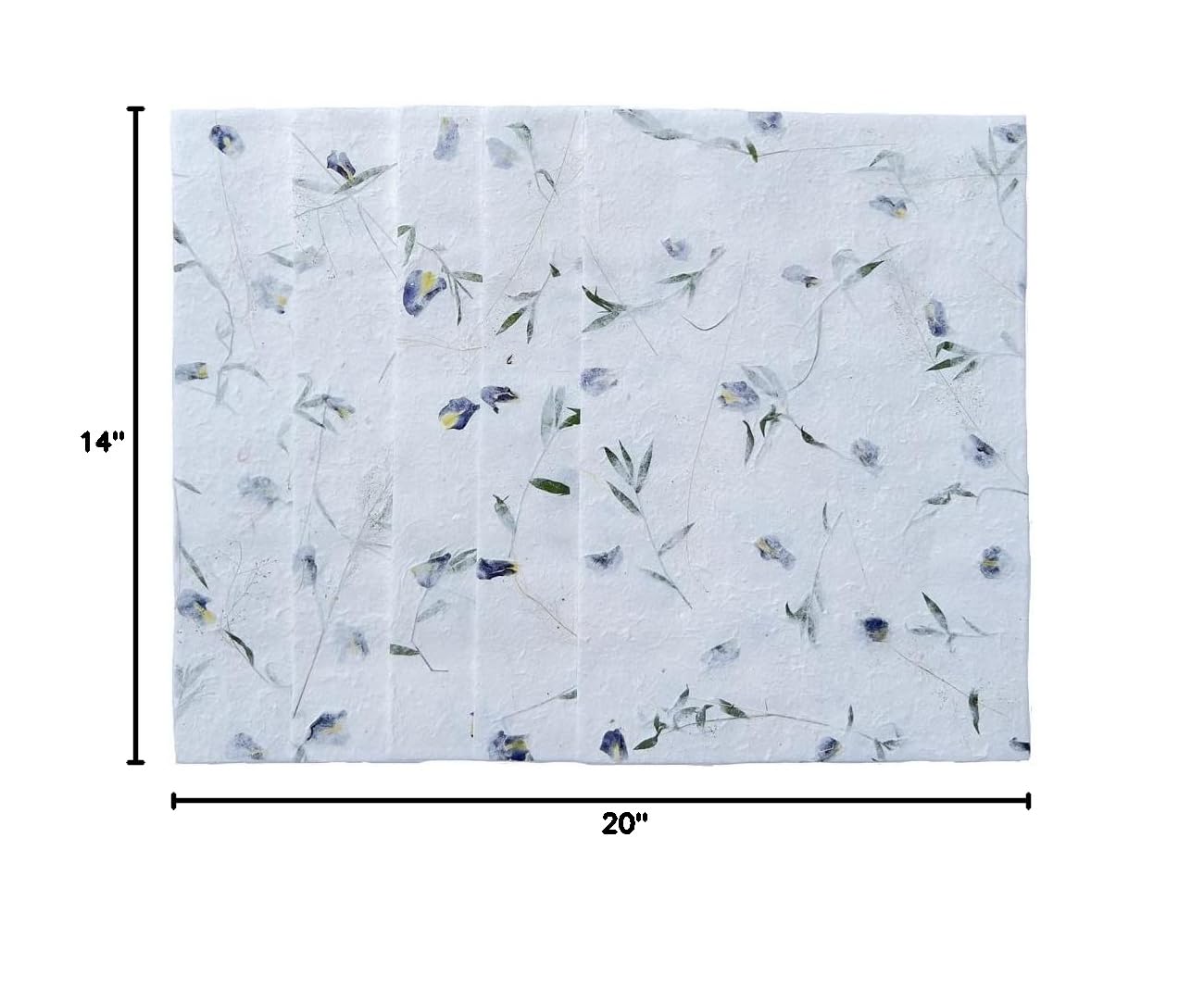 Handmade Thick Natural Mulberry Paper Sheets for Painting, Writing, Card Making & DIY Crafts - Butterfly Pea Flowers & Grass Leaves Design (20