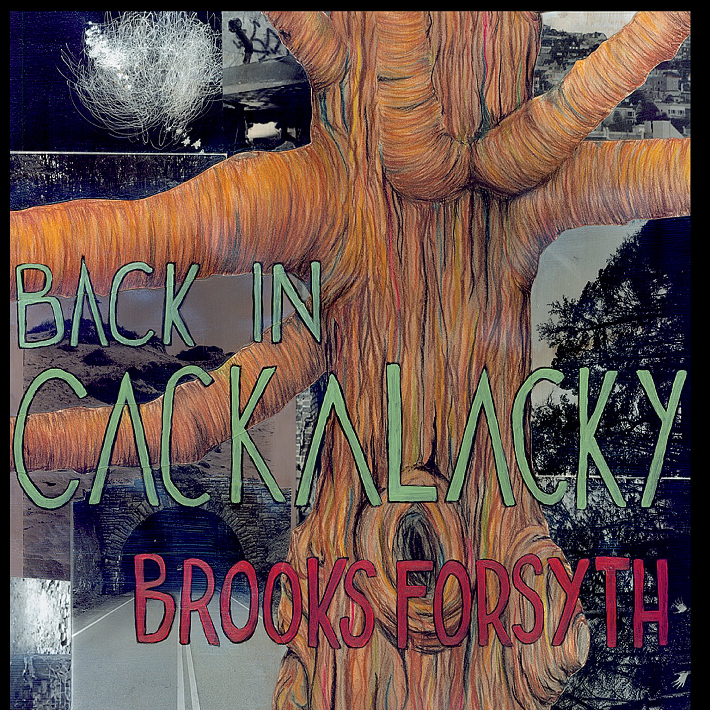 Back in Cackalacky - Premium Southern Style BBQ Sauce | Authentic Carolina Flavor for Grilling, Smoking & Home Cooking | Perfect for Ribs, Pulled Pork & Family Gatherings