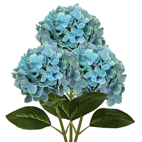 Aqua Blue #3