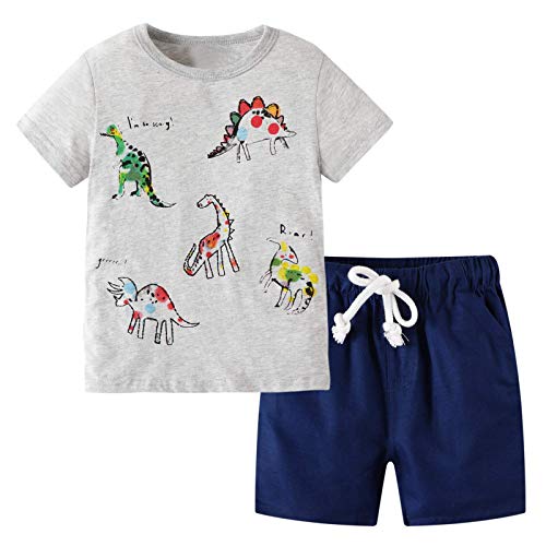 BIBNice Toddler Boys Summer Outfits - 2-7T Short Sleeve Shirt & Shorts Sets | Cute Playtime & Beach Vacation Clothes for Kids