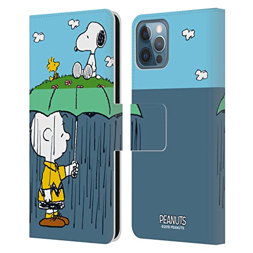 Charlie, Snoppy & Woodstock