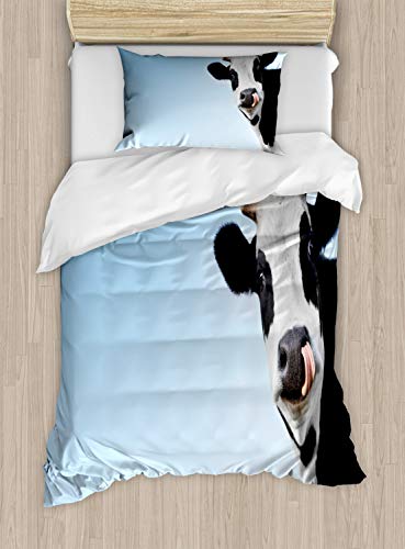 Pale Blue Charcoal Grey