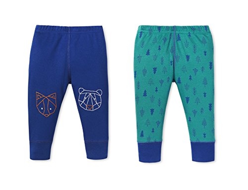 Blue Bear/Green Trees