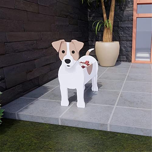 Jack Russell