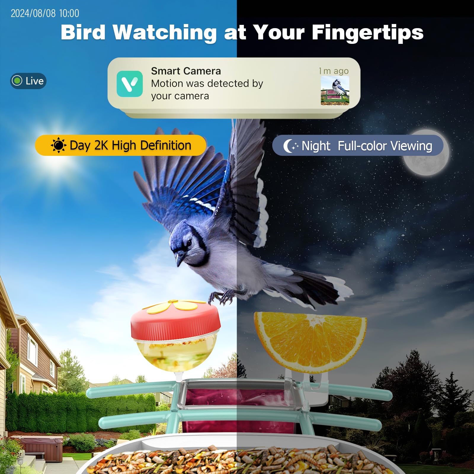 Solar Powered Smart Bird Feeder with 2K Camera - AI Bird Identification, Auto Video Capture, 2.4GHz WiFi Live Feed for Backyard Bird Watching | Perfect Gift for Bird Lovers, Parents & Nature Enthusiasts | Monitor Wildlife in Your Garden or Patio