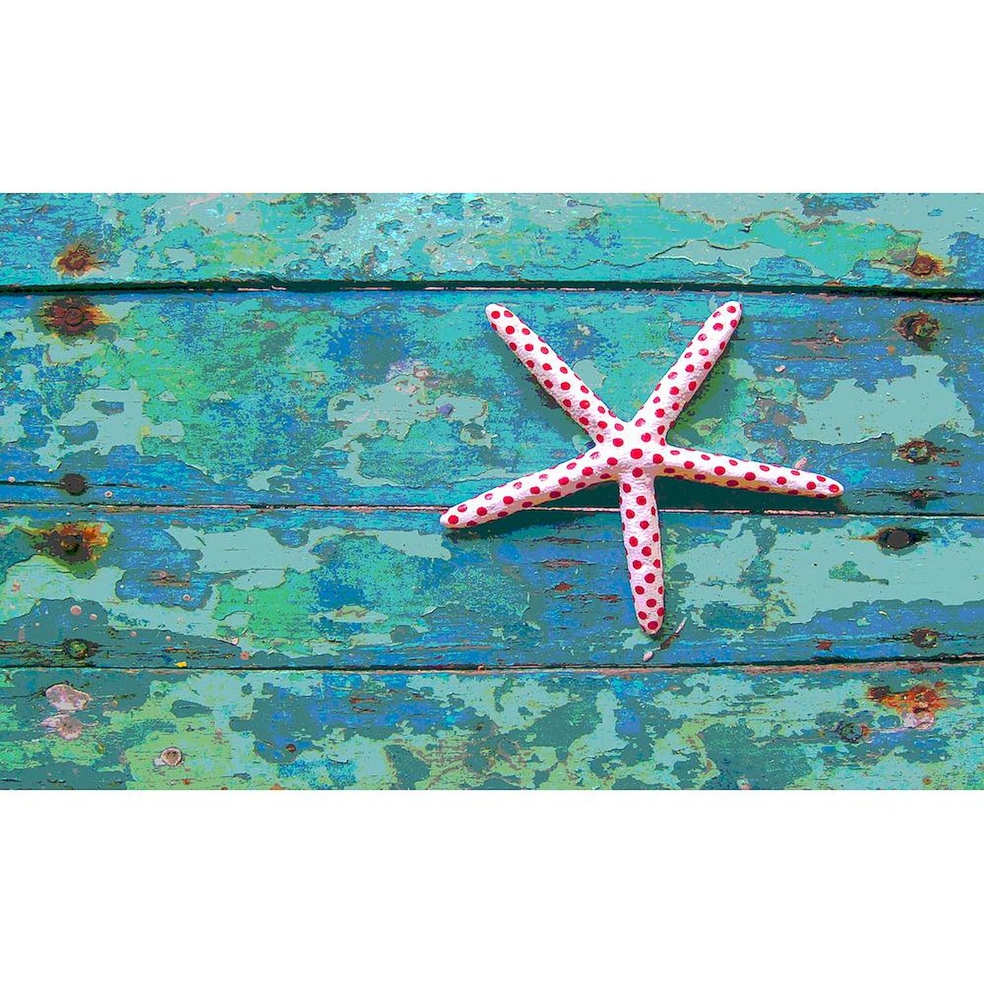 Starfish and Turquoise 3'X5' Decorative Area Rug - Non-Slip Fabric Throw Rug for Living Room, Bedroom & Dorm Decor | Coastal Beach House Style