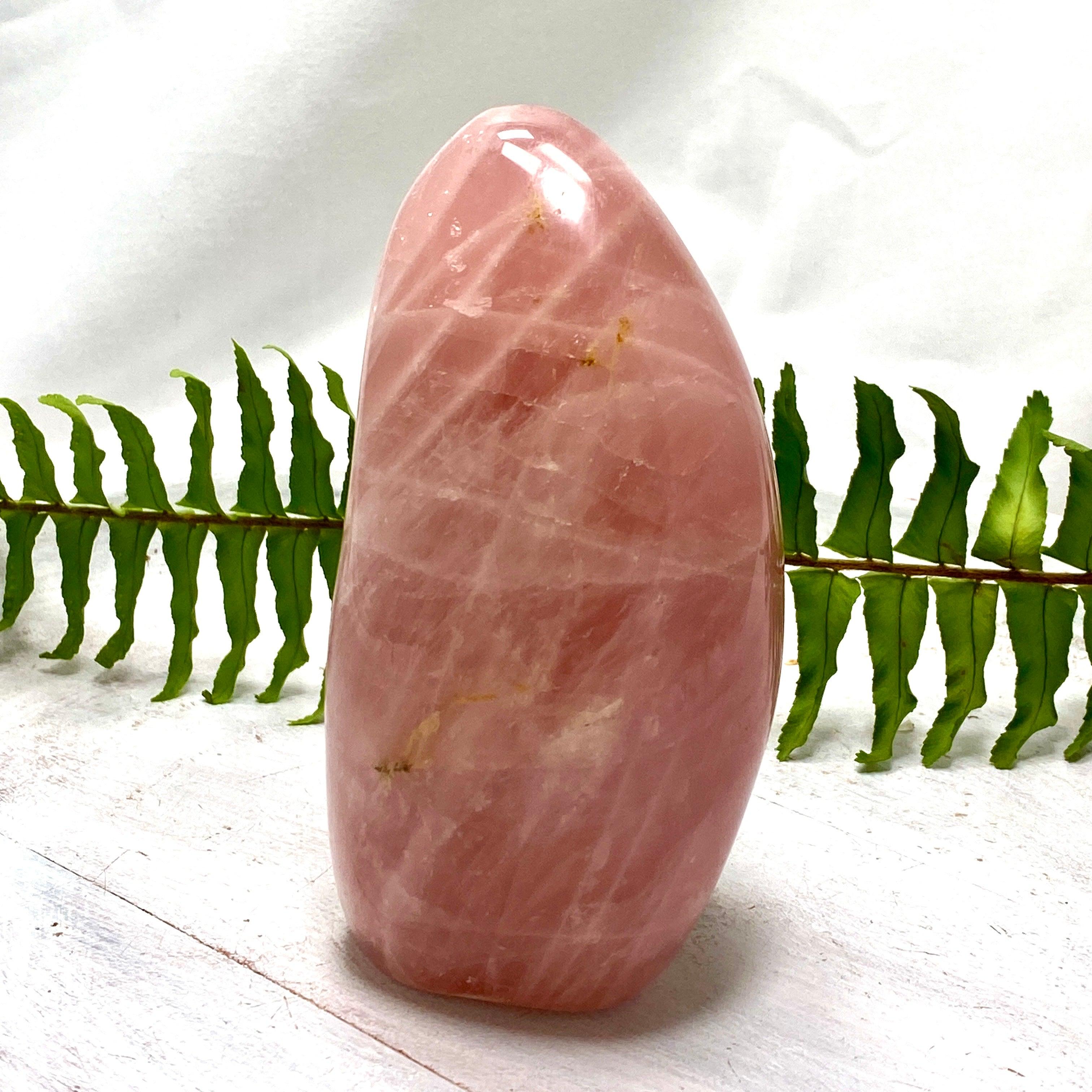 Natural Rose Quartz Freeform Stone - Healing Crystal for Love & Harmony - Home Decor, Meditation & Reiki Energy Work