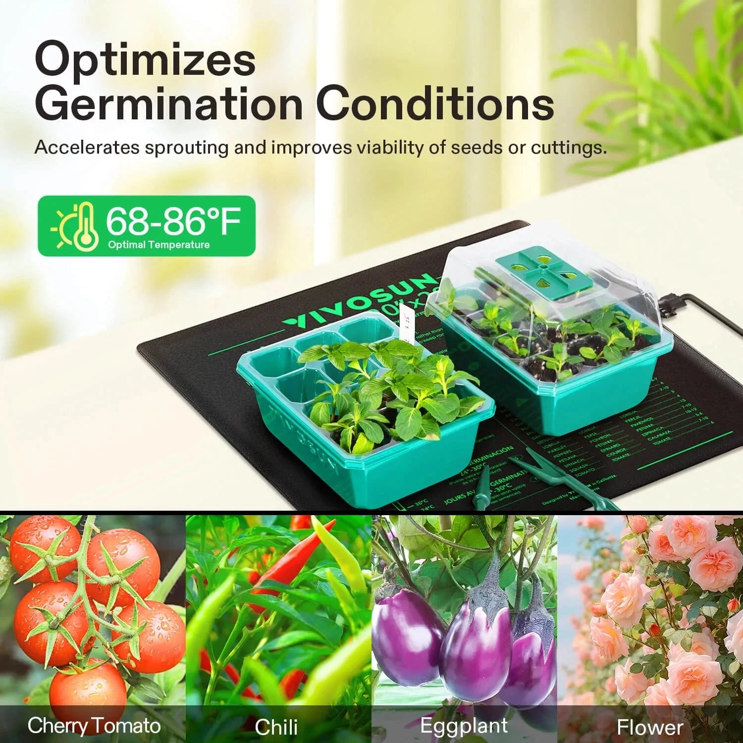 VIVOSUN 20x20.75 Inch Digital Thermostat & Seedling Heat Mat Kit for Indoor Gardening - Perfect for Seed Starting, Plant Propagation, and Greenhouse Use