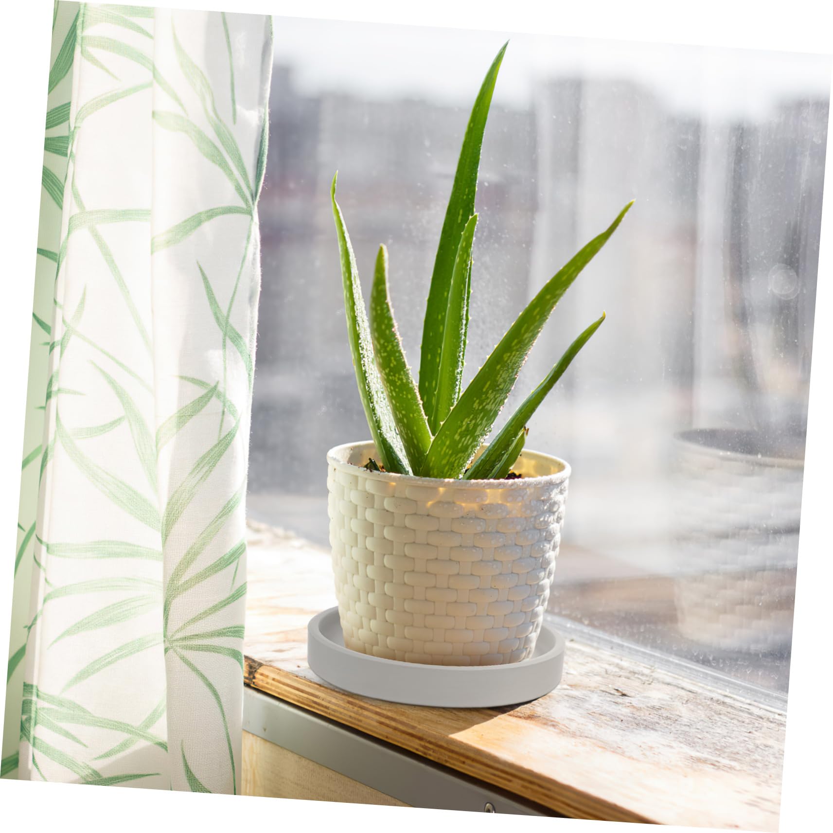 Cabilock 2-Pack Ceramic Plant Pot Trays - Round Indoor Flowerpot Saucers for Houseplants, Succulents, and Herbs | Perfect for Home Decor, Kitchen Countertops, and Balcony Gardening