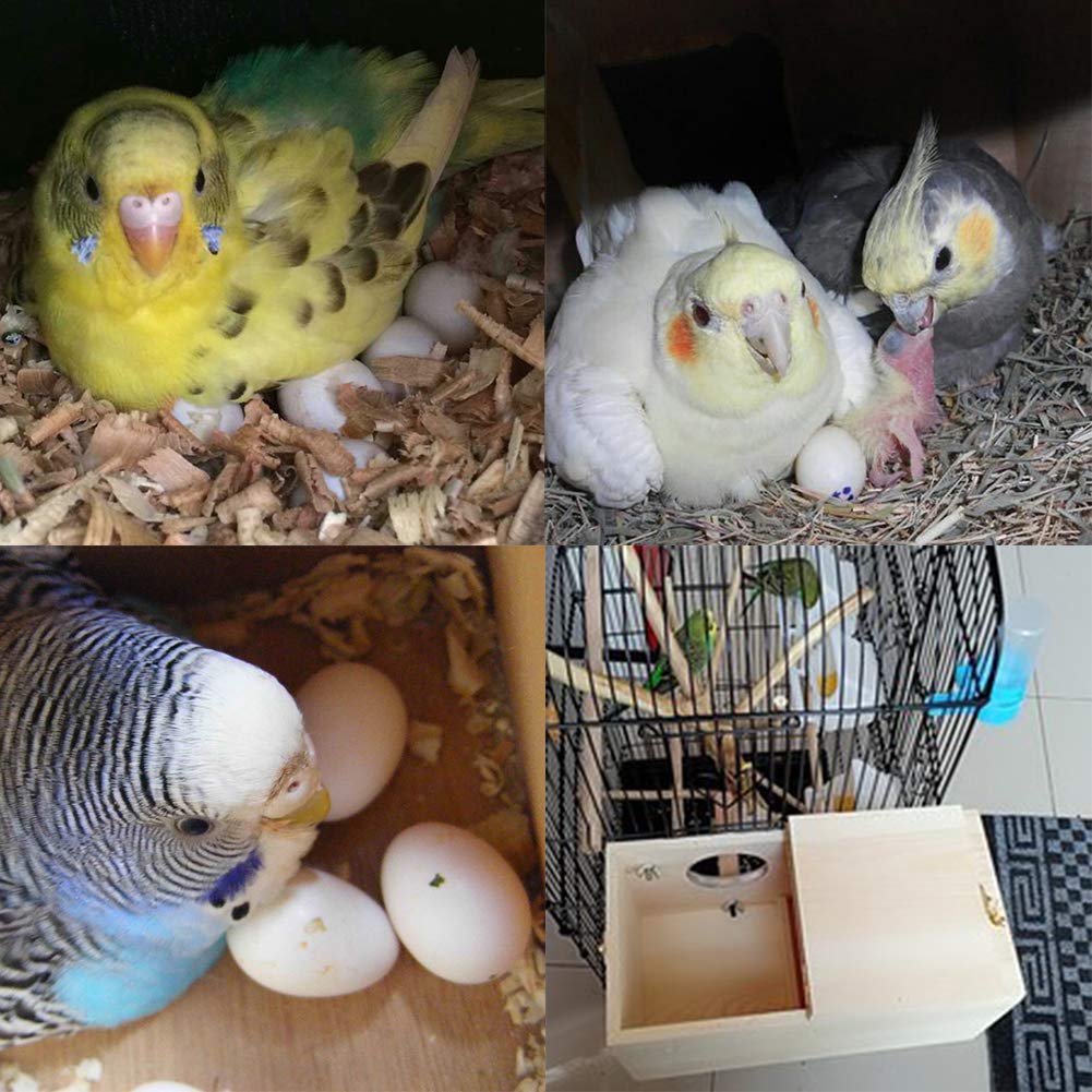 Premium Pine Wood Parakeet Nest Box - XL Size Bird House for Budgies, Lovebirds, Cockatiels & Parrotlets | Safe Breeding & Mating Shelter | Perfect for Aviaries, Bird Cages & Outdoor Use