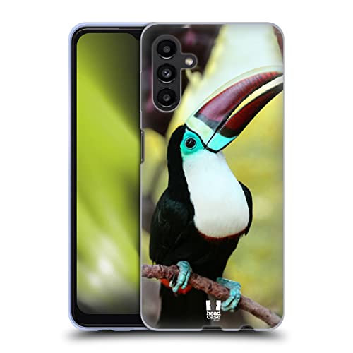 White Throated Toucan