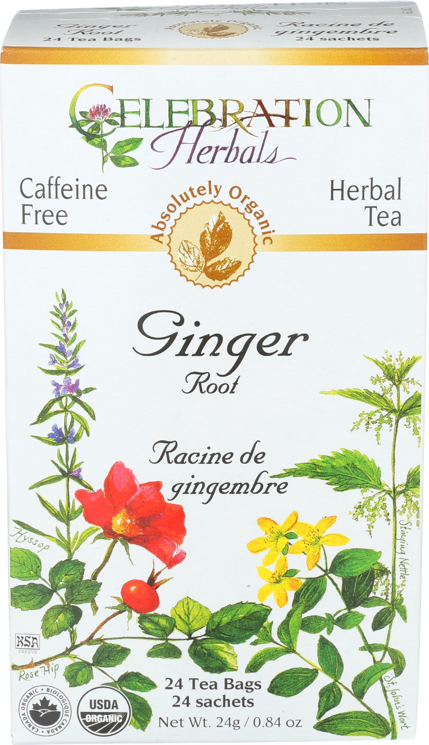 Organic Ginger Root Tea by CELEBRATION HERBALS - 24 Tea Bags | Caffeine-Free Herbal Tea for Digestion & Nausea Relief | Perfect for Morning Wellness & After-Meal Comfort
