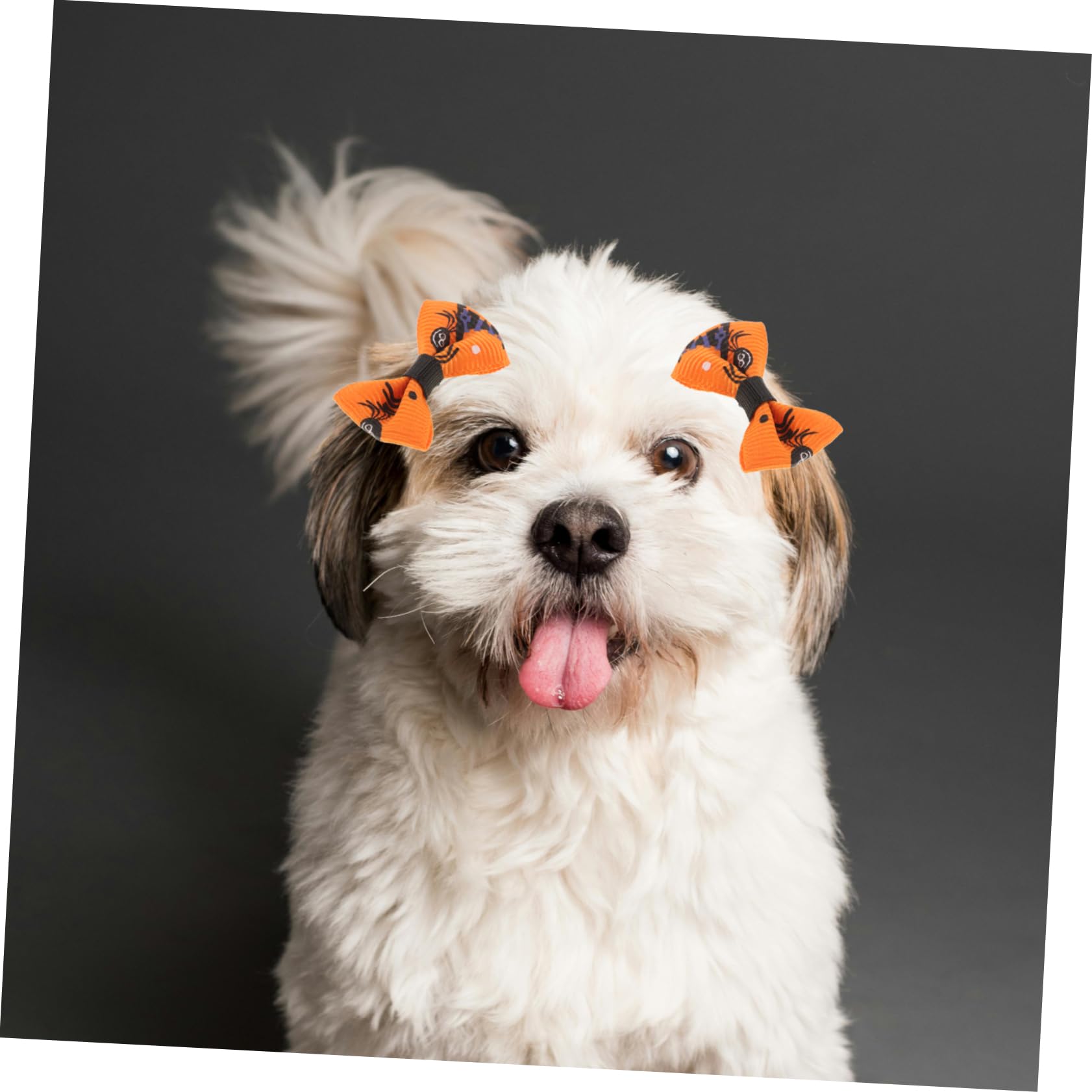 10pcs Pet Hair Bands for Dogs - Elastic Topknot Ties & Bows for Grooming & Styling