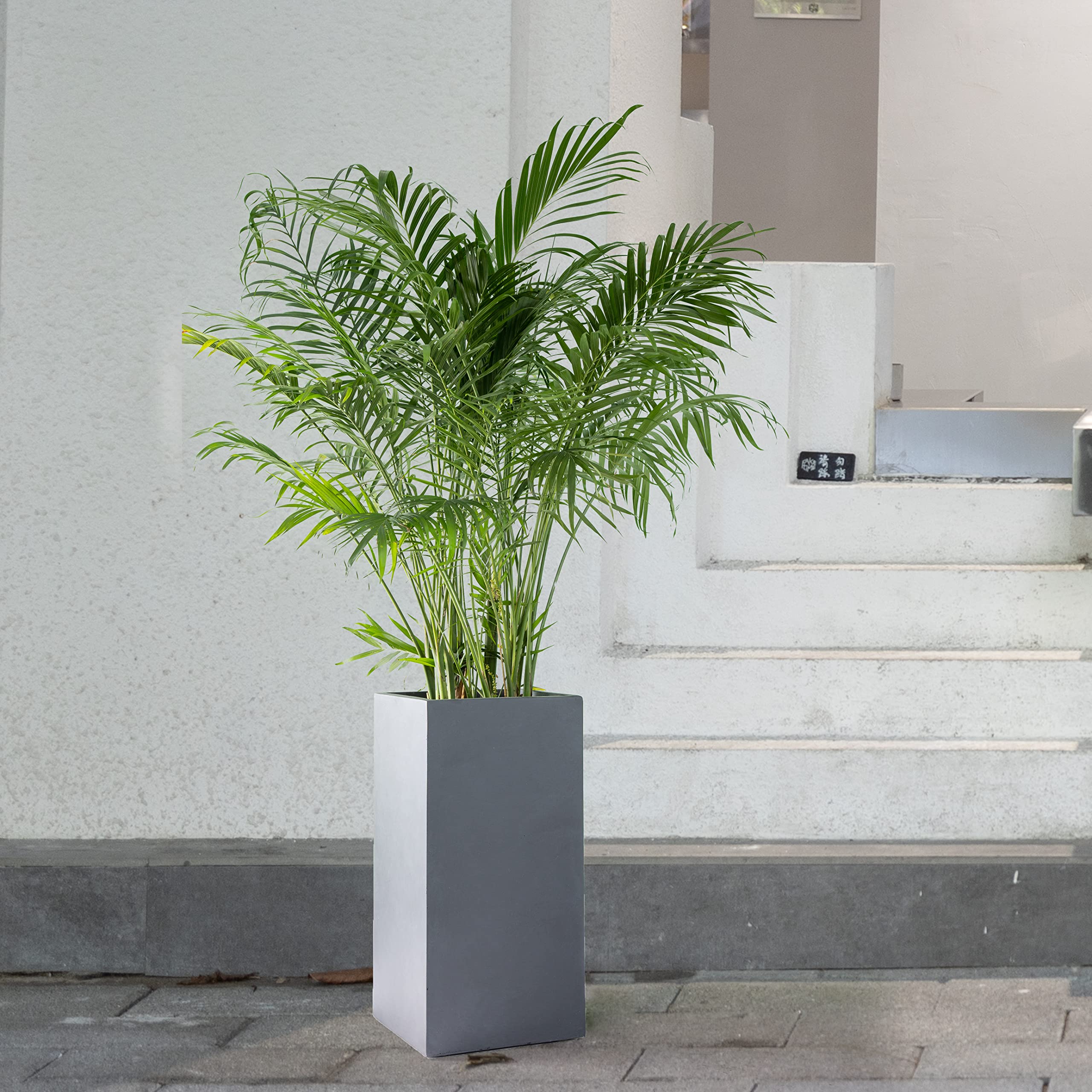 Kante AF0002C-60121 Large Lightweight Concrete Planter - 28