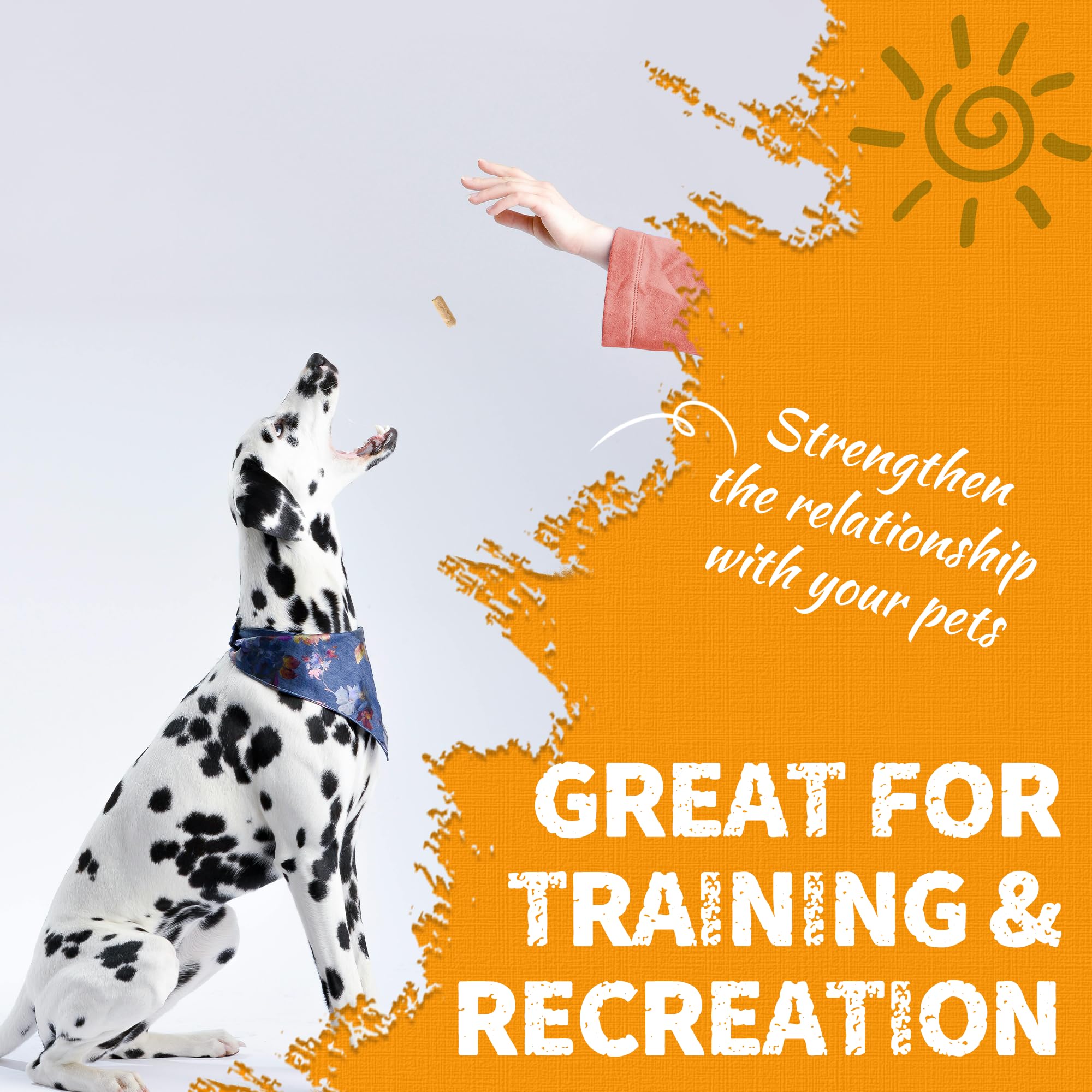 Premium Freeze-Dried Salmon Oil Dog & Cat Treats - Skin & Coat Support, Healthy Training Rewards & Food Topper - All-Natural Pet Snacks for Daily Wellness, Joint Care & Shiny Fur - Perfect for Training, Mealtime & Grooming Sessions