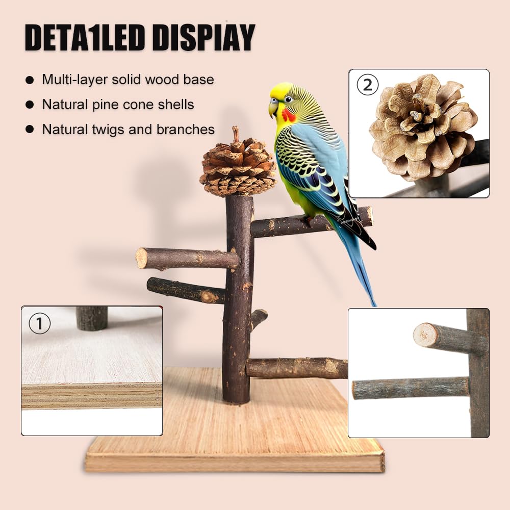 Portable Bird Perch Stand for Parrots - Tabletop Play & Training Perch for Parakeets, Conures, Lovebirds, Cockatiels | Perfect for Bird Cages, Grooming & Playtime at Home