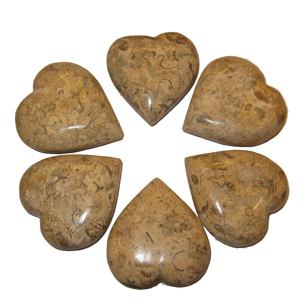 Fossil Heart Eternal Soulmate Love Crystal Healing Stone - Brown Gemstone for Chakra Balancing, Meditation & Spiritual Healing - Perfect for Gifts, Home Decor & Energy Work