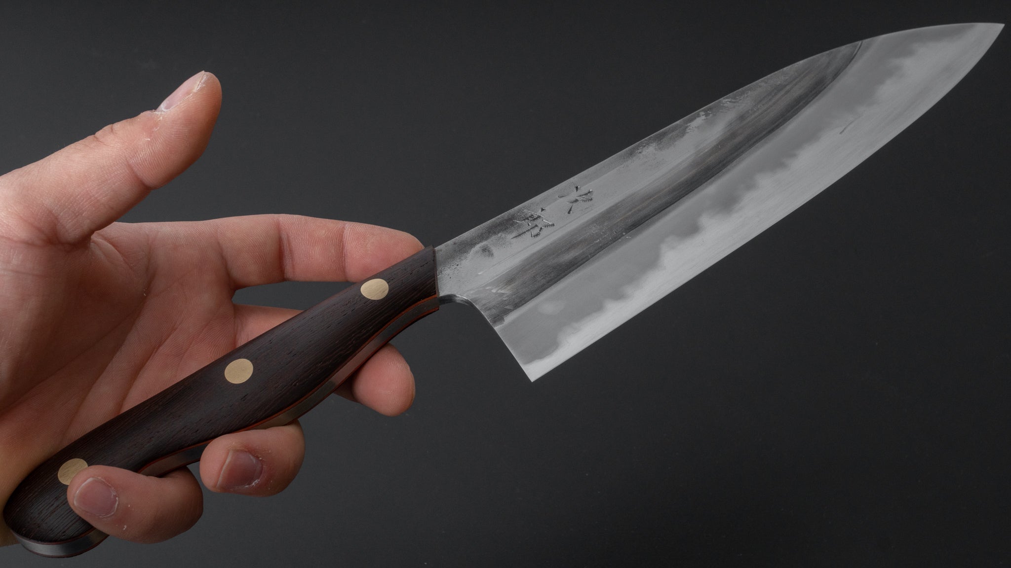 Premium Jiro Tsuchime Yo Gyuto 210mm Japanese Chef Knife with Tagayasan Handle - Perfect for Sushi, Meat Cutting & Professional Kitchen Use