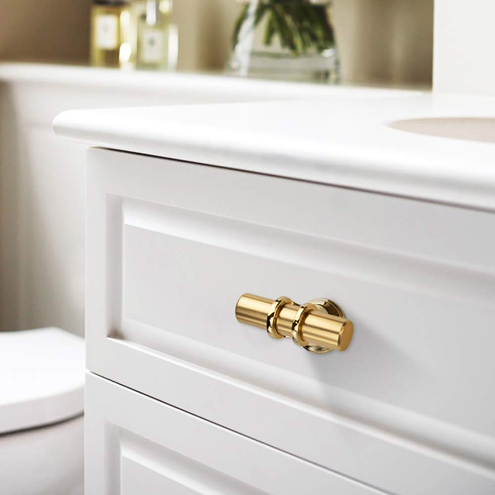 10 Pack Cabinet Knobs - T Bar Handles for Kitchen Cabinets, Furniture, Doors & Drawers - Durable Cupboard Pulls for Home & Office Renovation