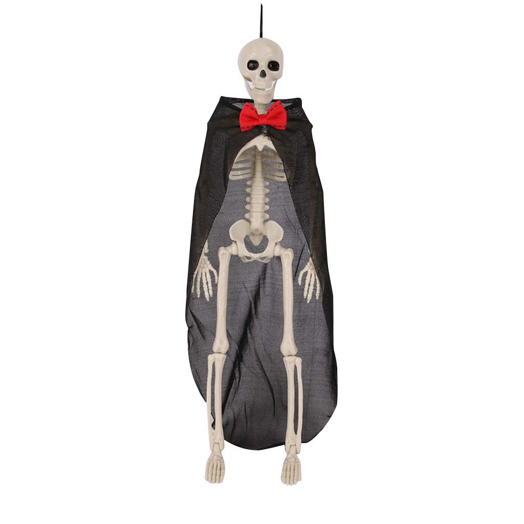 Life-Size Poseable Halloween Skeleton Decor - Anatomically Accurate Human Skeleton Prop for Bathroom, Party & Home Decoration | Spooky Halloween Crafts & Accessories for Women (Perfect for Haunted House, Themed Parties & DIY Halloween Projects)