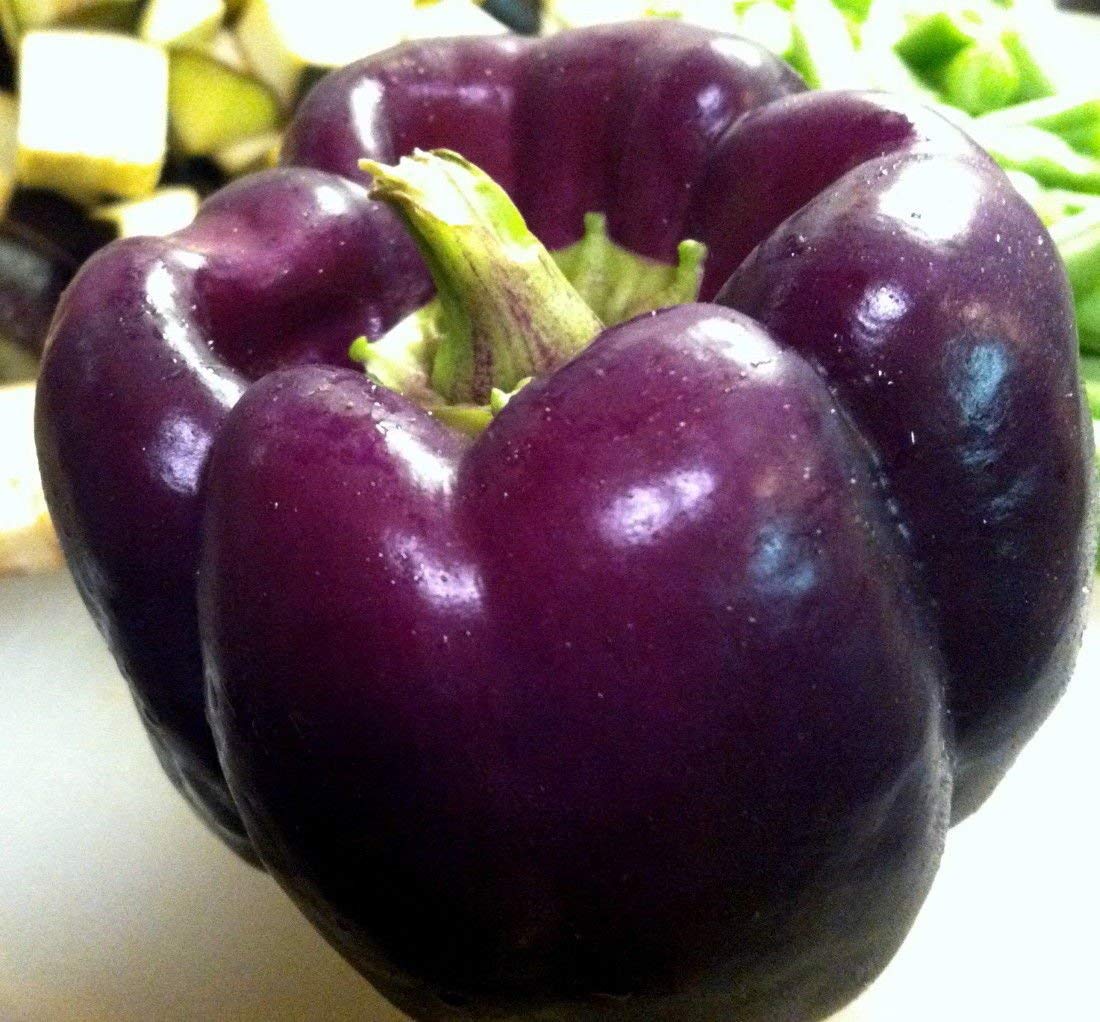 Organic Non-GMO Purple Heirloom Sweet Bell Pepper Seeds - Perfect for Home Gardening, Vegetable Patches & Sustainable Farming