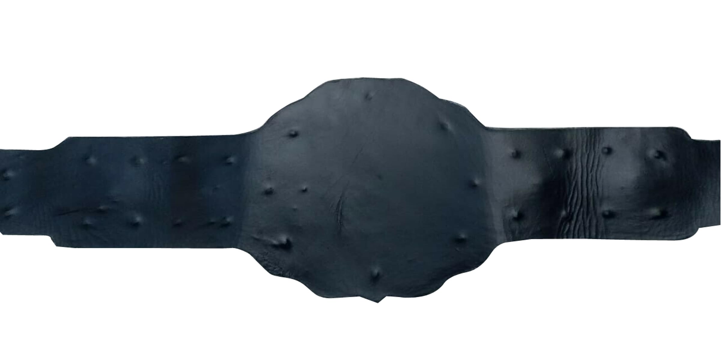 IWGP Intercontinental Championship Wrestling Replica Belt - Adult Size - Perfect for Cosplay, Collecting, and Wrestling Fans