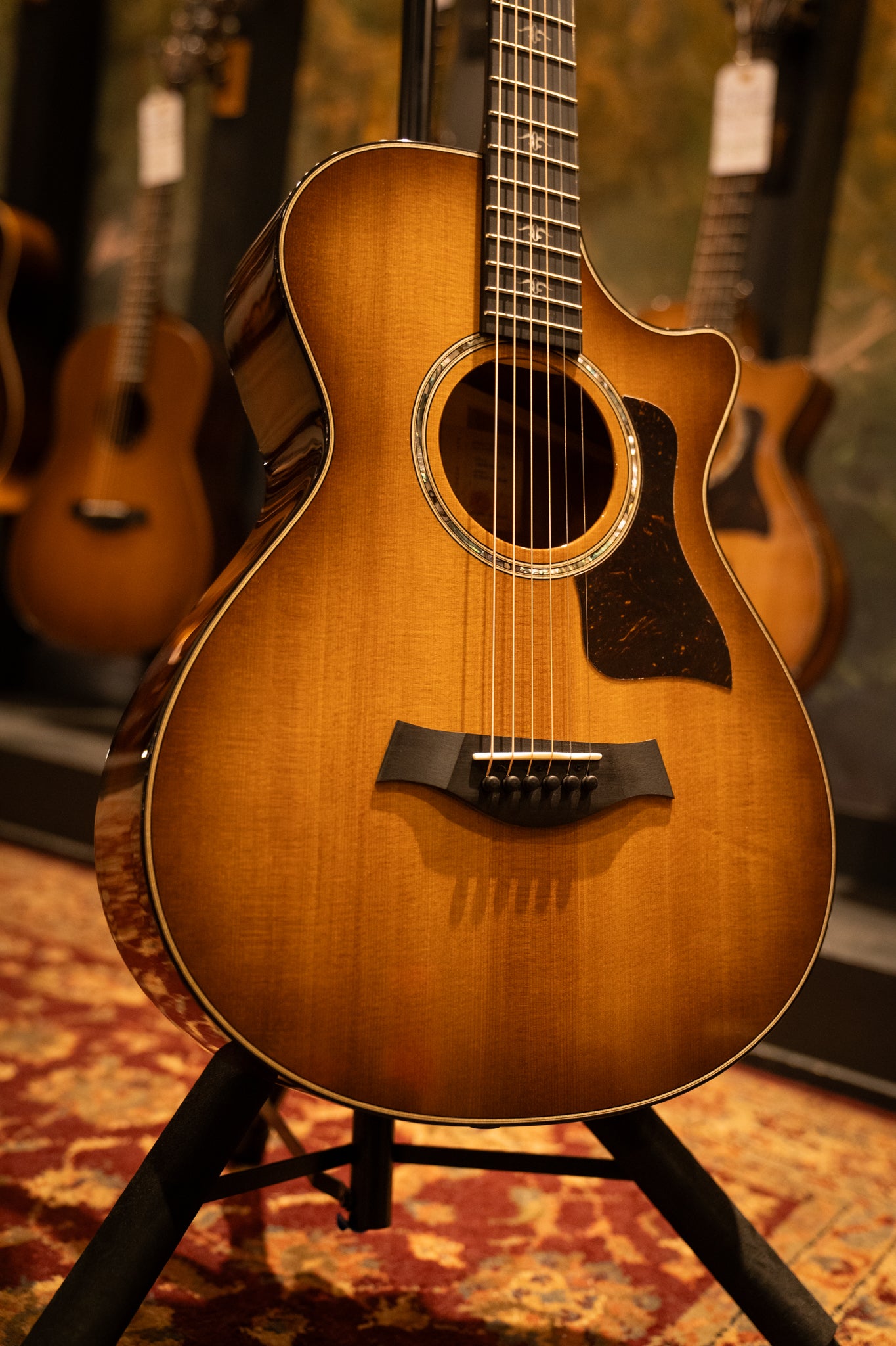 Taylor 512ce 12-Fret Grand Concert Acoustic Guitar with Hard Shell Case - Perfect for Live Performances, Studio Recording & Home Practice (Serial: 1204183117)