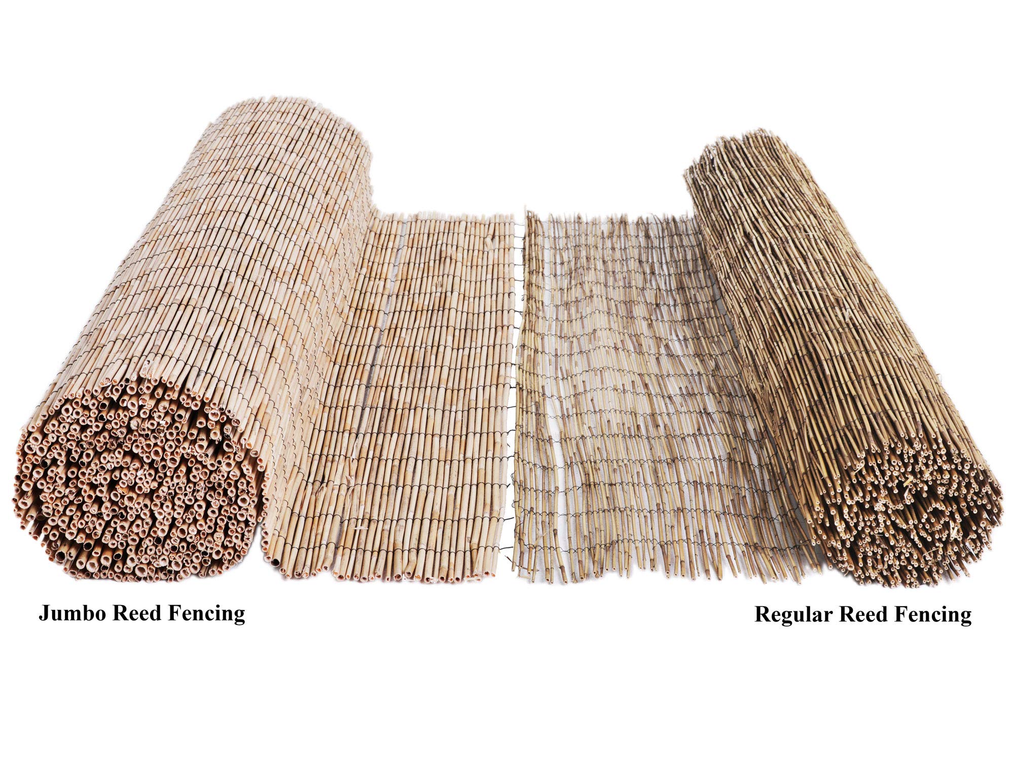 FOREVER BAMBOO Jumbo Reed Privacy Fence - 6ft Tall x 16ft Wide Natural Bamboo Screen for Backyard, Garden & Patio Divider - Tan Finish Outdoor Decorative Fencing for Poolside, Deck & Landscape Privacy
