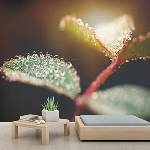 Macro Leaves 3D Wall Murals | PVC Self-Adhesive Peel & Stick Wallpaper | 110