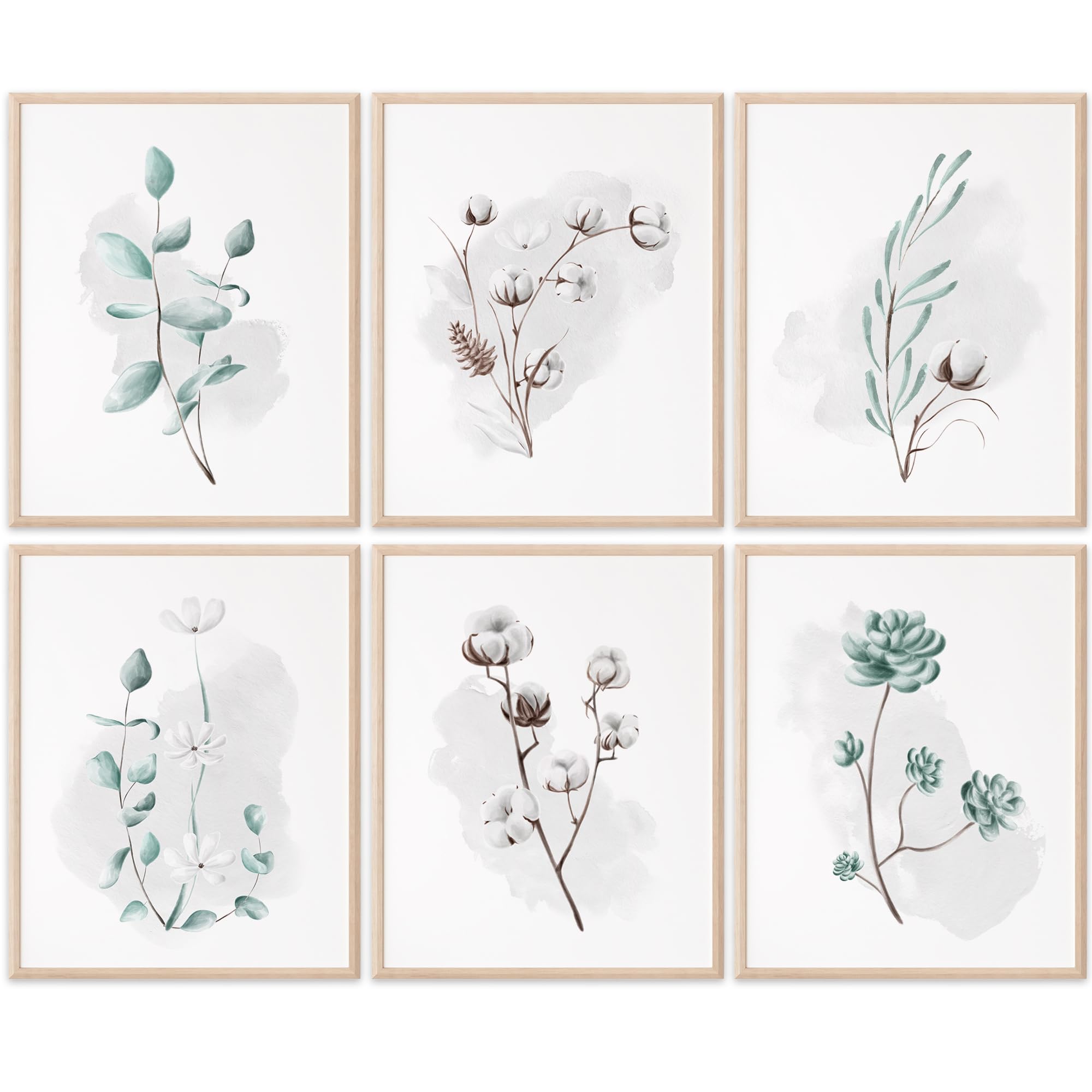 Eucalyptus and Cotton Botanical Prints Wall Art Set of 6 - Unframed 8x10 Inch - Modern Kitchen Wall Decor - Perfect for Farmhouse, Bathroom, and Bedroom Decor - Adds Fresh Greenery Style to Any Space