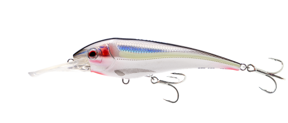 DTX Minnow 145 Shallow FLT 145mm Fishing Lure - Topwater Bass Bait for Freshwater & Saltwater - Perfect for Casting, Trolling, and Shore Fishing