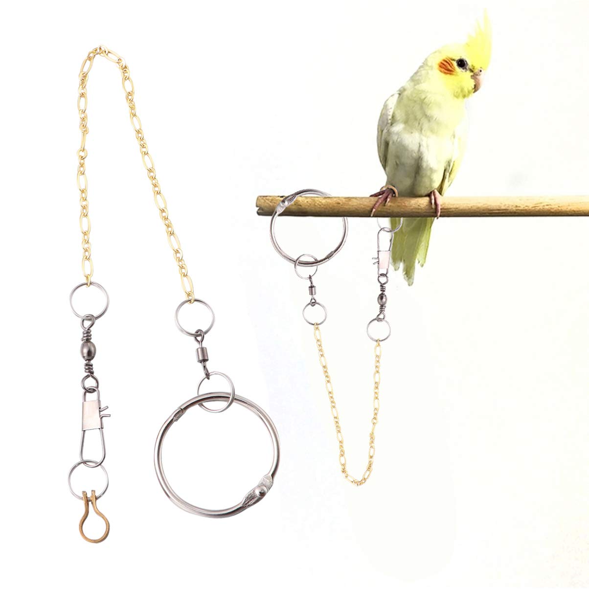 Balacoo Parakeet Ankle Ring - Adjustable Buckle Chain for Parrot Training & Outdoor Flying - Durable Foot Anklet Leash for Bird Enrichment Activities