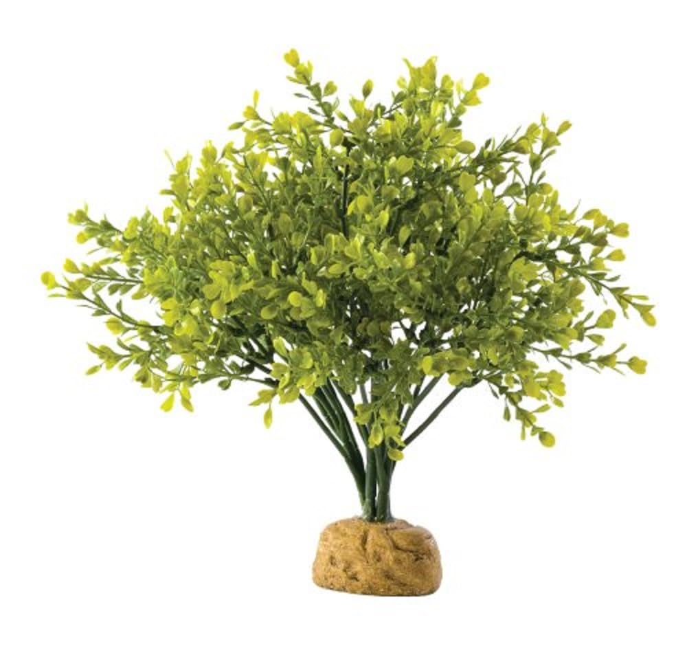 Exo Terra Boxwood Bush Terrarium Plant - Artificial Green Shrub for Reptile Habitat, Vivarium Decoration - Perfect for Gecko, Frog, and Snake Enclosures