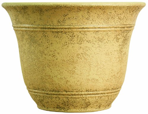 Arizona Sand