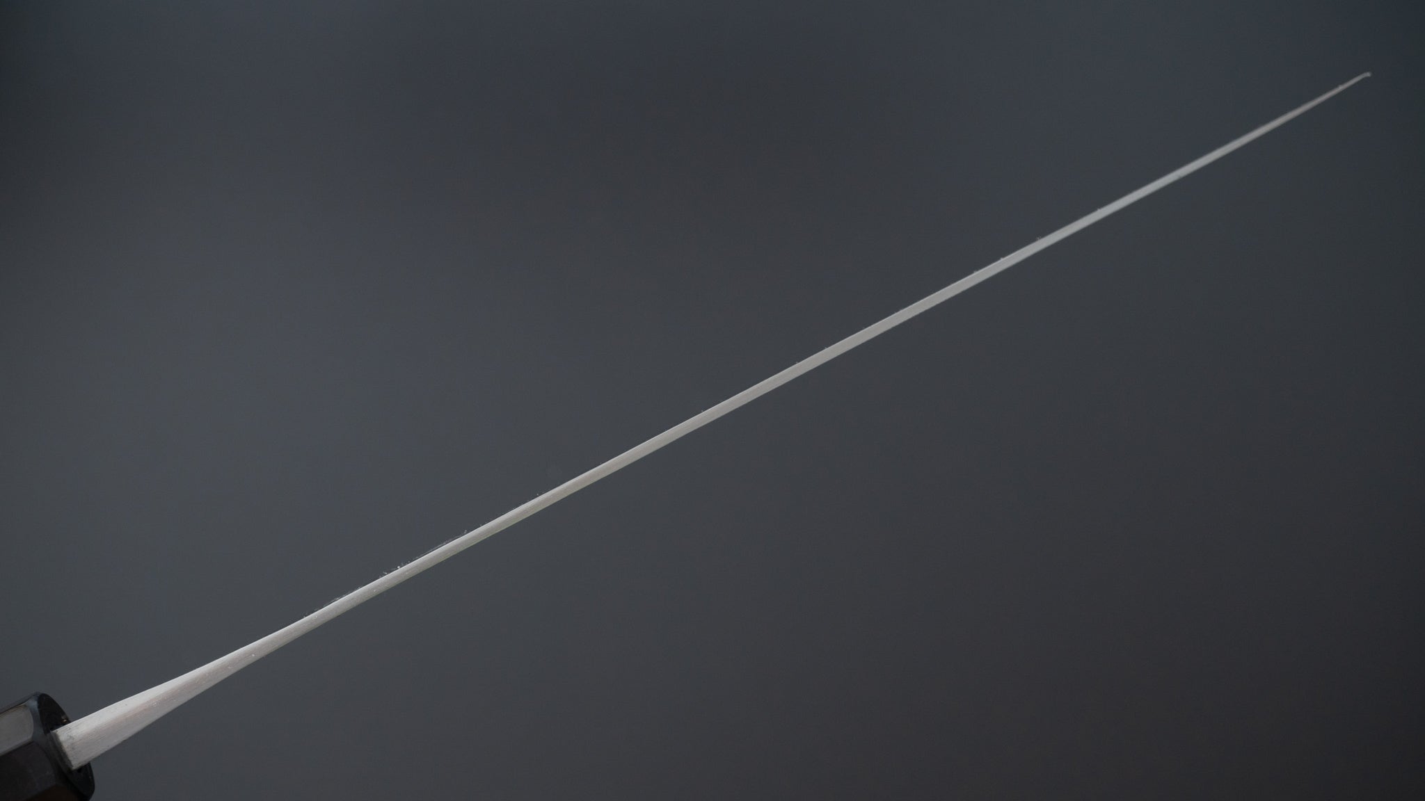 Premium Jiro Tsuchime Sujihiki 240mm Japanese Slicing Knife - Taihei Tagayasan Handle (#140) - Perfect for Sushi, Sashimi & Meat Carving