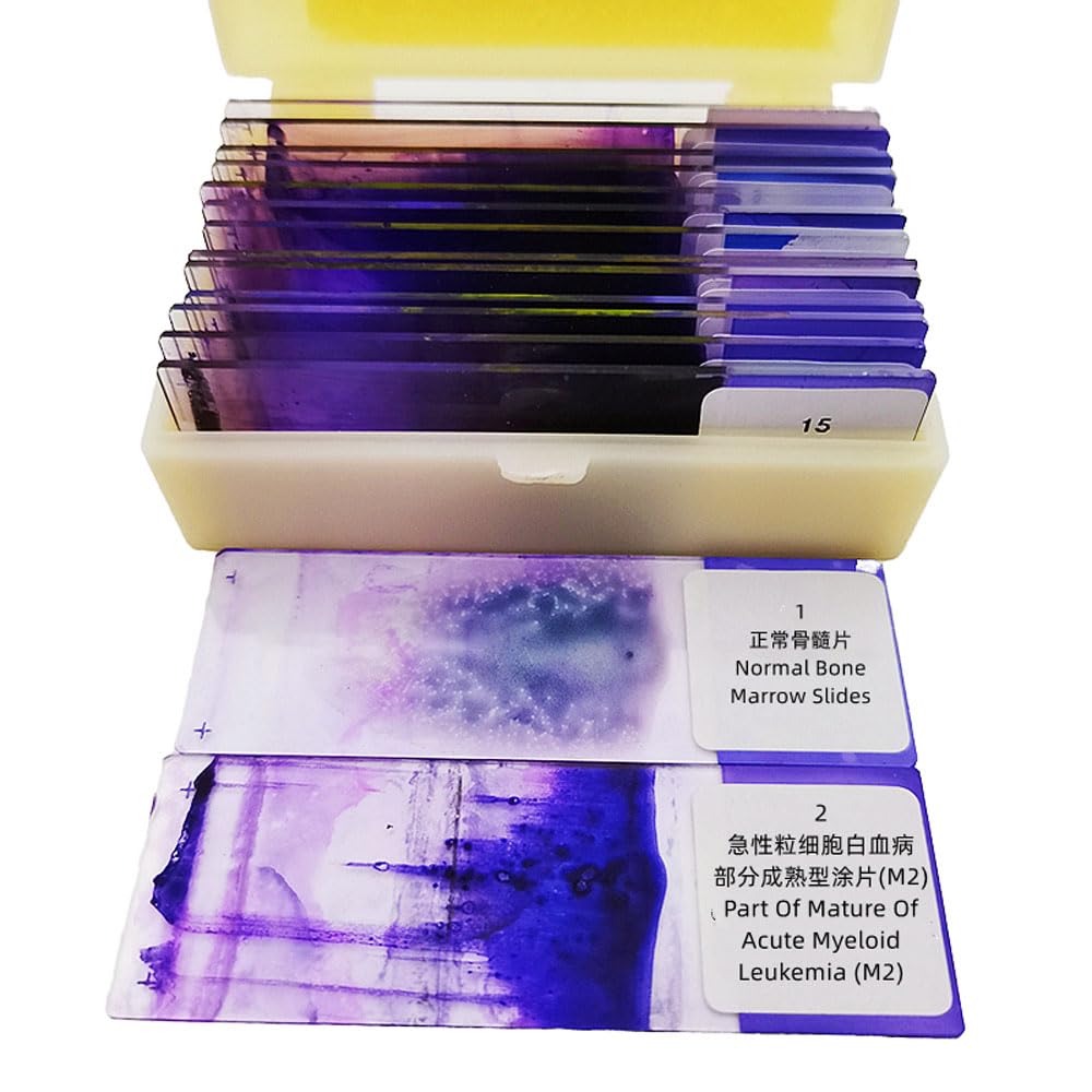 15pcs Hematology Prepared Slides Set - Blood Smear Microscope Slides for Medical Students, Lab Professionals & Biology Enthusiasts - Perfect for Classroom, Research & Diagnostic Use