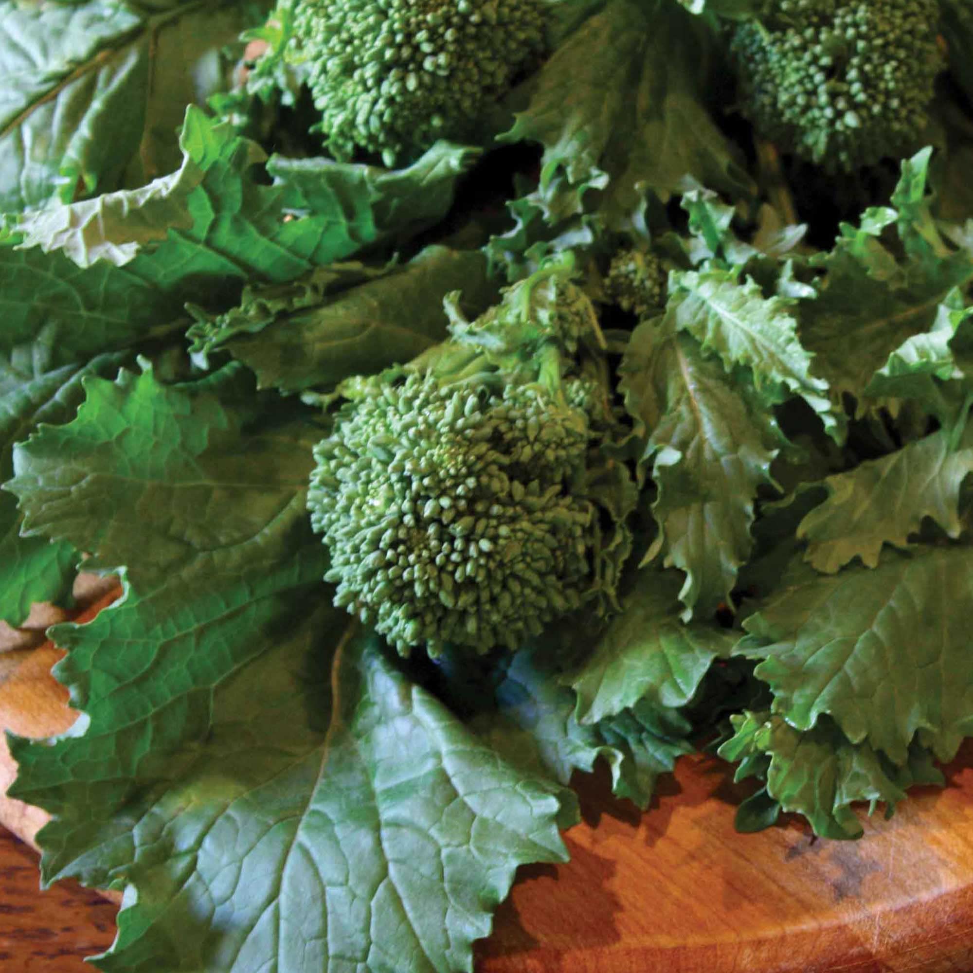 Broccoli Raab Seeds - Sorrento Variety - 1 Lb Pack (~144,000 Seeds) | Non-GMO, Heirloom Vegetable Seeds for Home Garden, Microgreens & Organic Farming | Perfect for Salads, Stir-fries & Healthy Eating