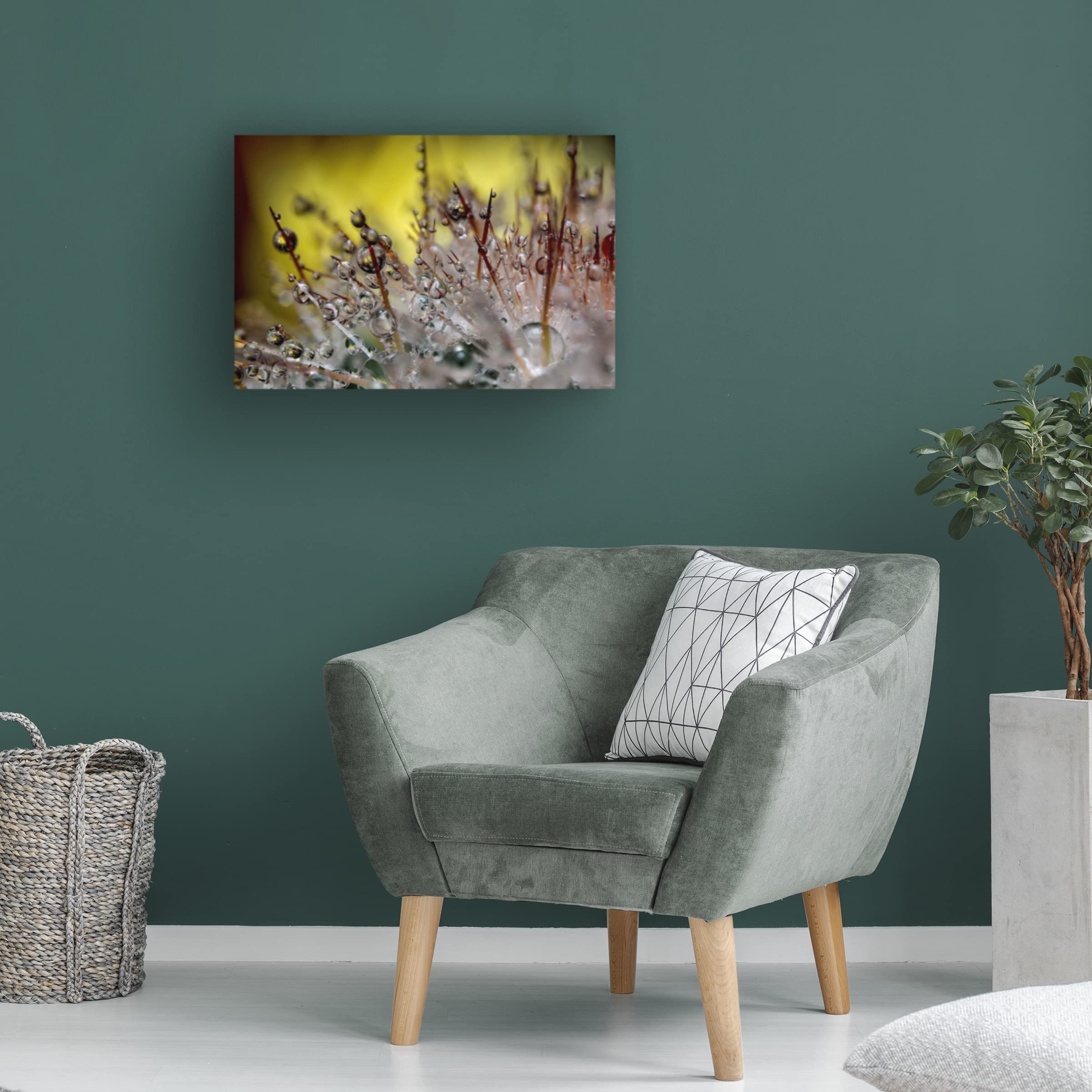 Gordon Semmens 'Cactus Flowers 13' Canvas Art Print - 16x24 Inches - Modern Desert Wall Decor for Living Room, Bedroom & Office