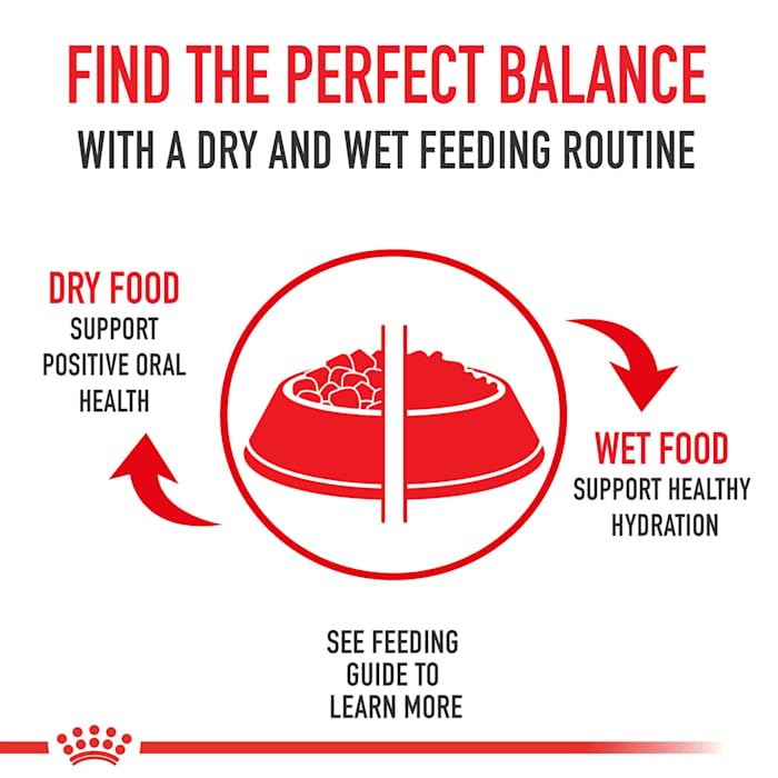 Royal Canin Medium Digestive Care Dry Dog Food for Adult Dogs - 30 lb Bag | Supports Healthy Digestion & Stool Quality | Ideal for Sensitive Stomachs & Daily Nutrition