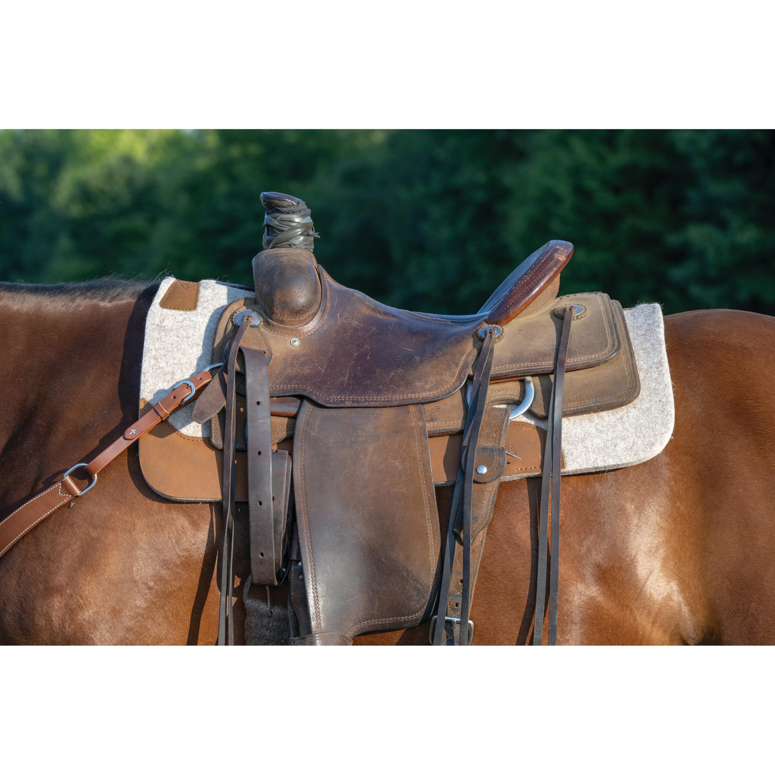 Weaver Equine 33