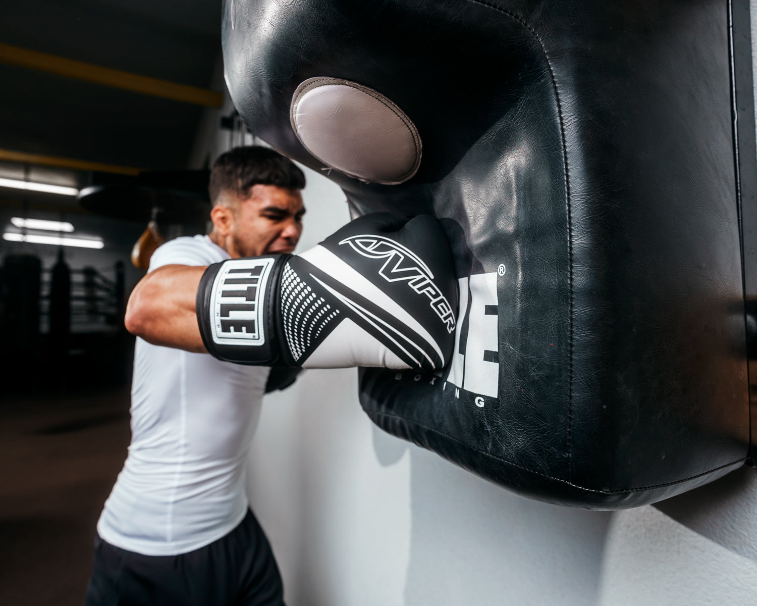 TITLE Boxing Strike Select Bag Boxing Gloves 2.0 - Premium Viper Training Gloves for Punching Bags, MMA & Kickboxing - Ideal for Gym Workouts, Heavy Bag Training & Combat Sports