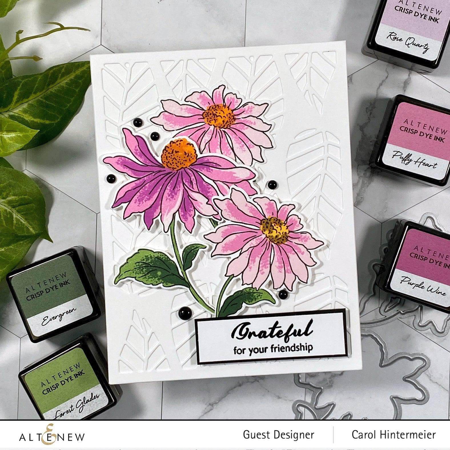 Build A Flower: Coneflower Layering Stamp & Die Set for Card Making, Scrapbooking & DIY Crafts - Floral Stamps for Handmade Greeting Cards & Paper Crafts