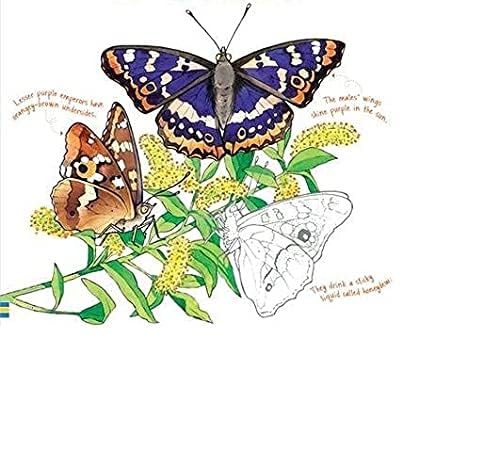 Butterflies Coloring Book for Adults & Kids - Relaxing & Creative Butterfly Designs for Stress Relief & Art Therapy | Perfect for Home, School & Gifts