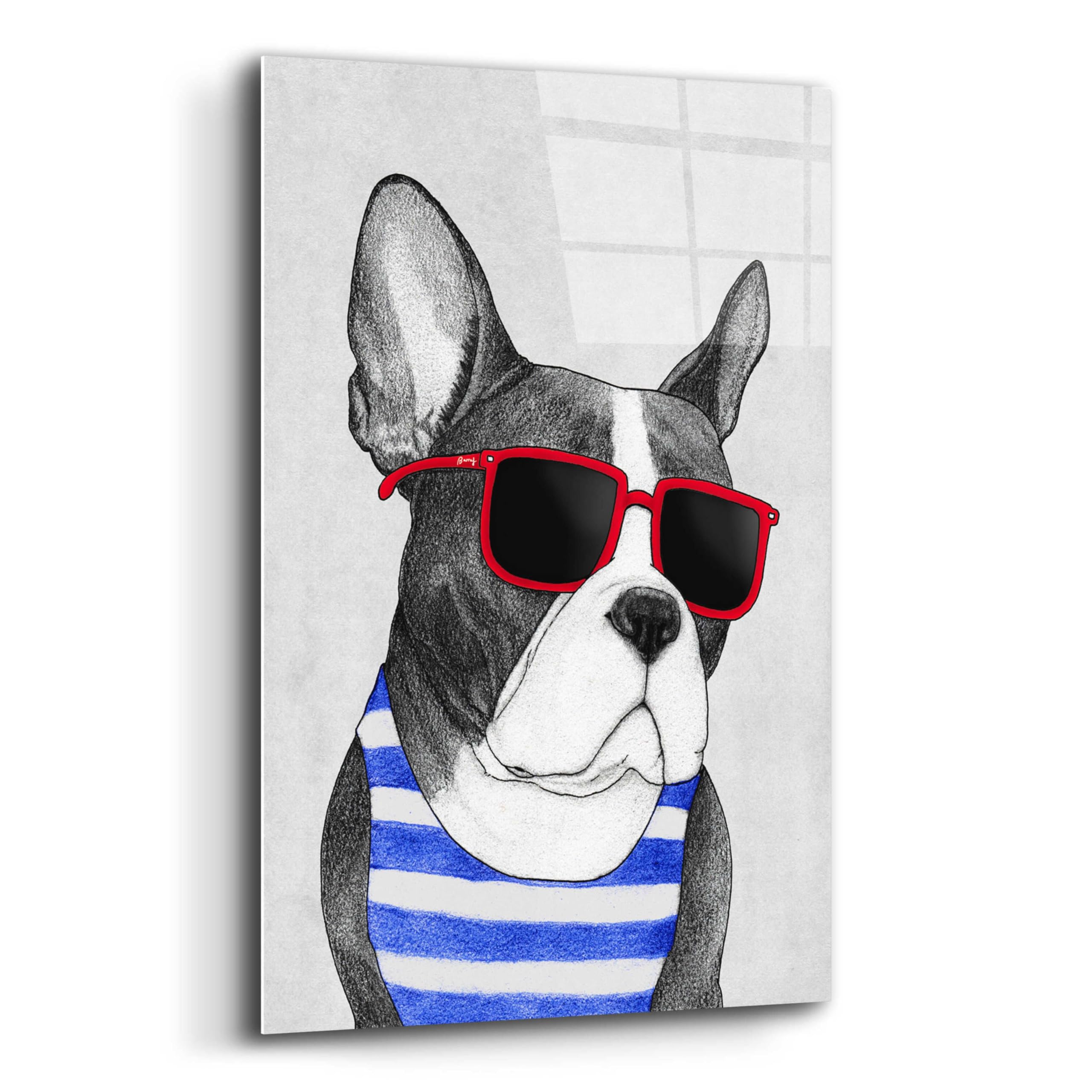 Barruf Acrylic Glass Wall Art - 'Frenchie Summer Style' Modern Dog Painting, 16x24 Inches, Vibrant Home Decor for Living Room, Bedroom & Office