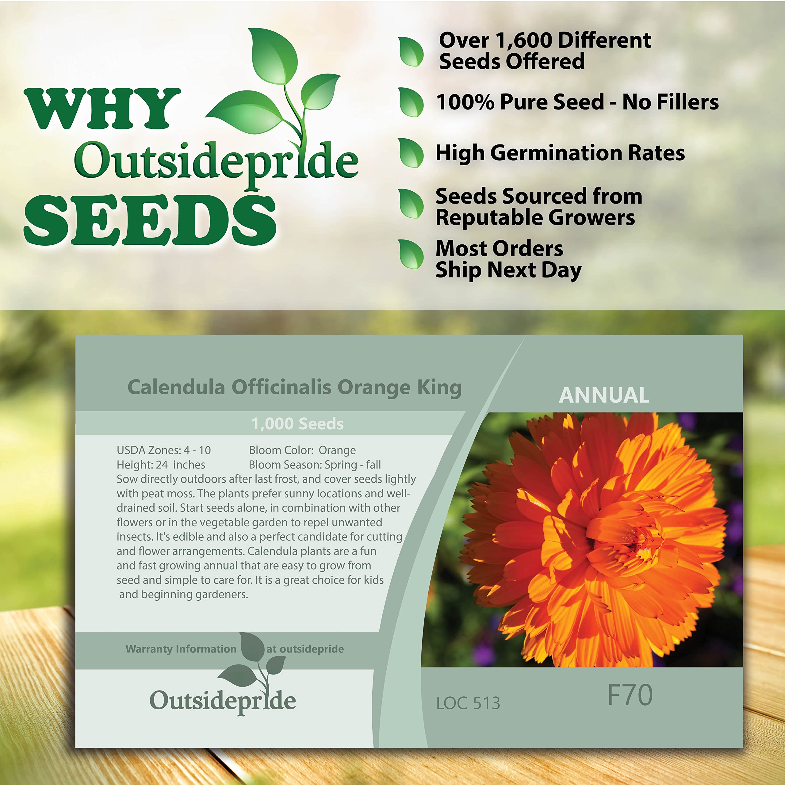 Outsidepride 1000 Seeds Annual Calendula Orange King Pot Marigold Flower Seeds for Planting - Perfect for Garden Beds, Borders & Container Gardening
