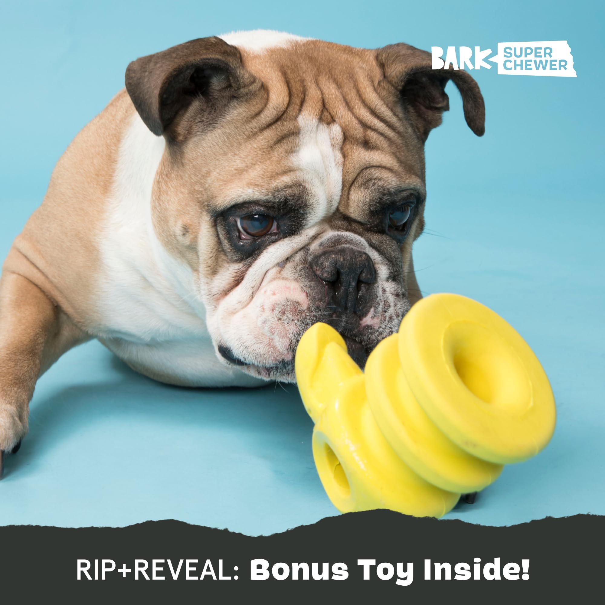 Barkbox Super Chewer Tough Dog Chew Toys for Aggressive Chewers - Durable Plush 2-in-1 Parrot Design (Large Size) - Perfect for Strong Chewing Dogs, Playtime & Training