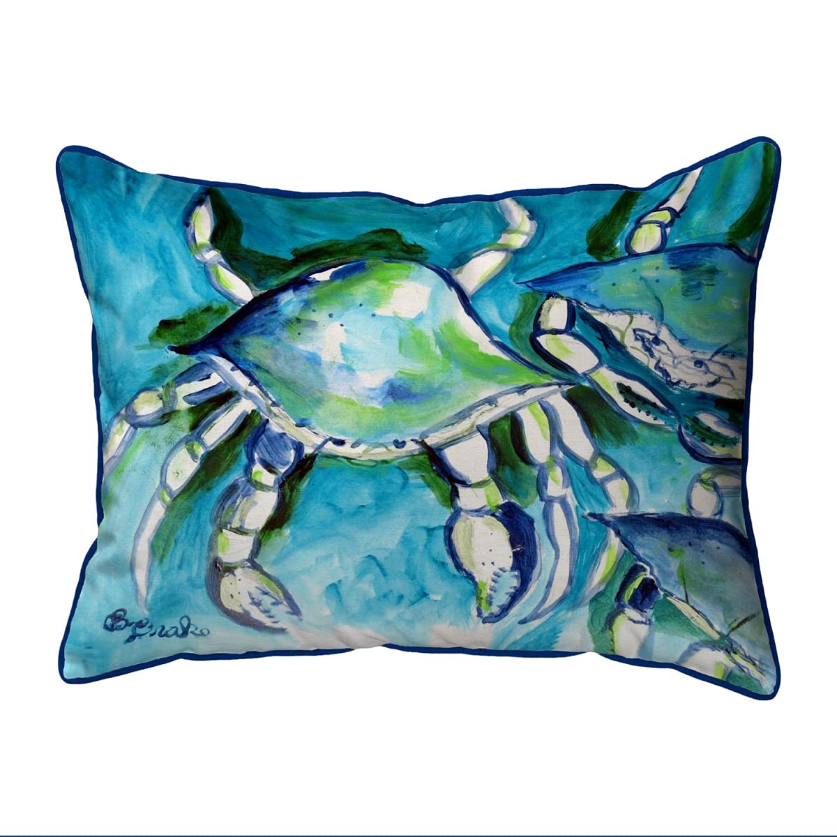 Betsy Drake SN1134 Decorative Throw Pillow 11x14 Inches - Multi-Color Soft Cushion for Sofa, Bed, Living Room & Home Decor