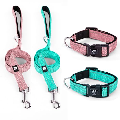 Pink&Teal(Collar+Leash)