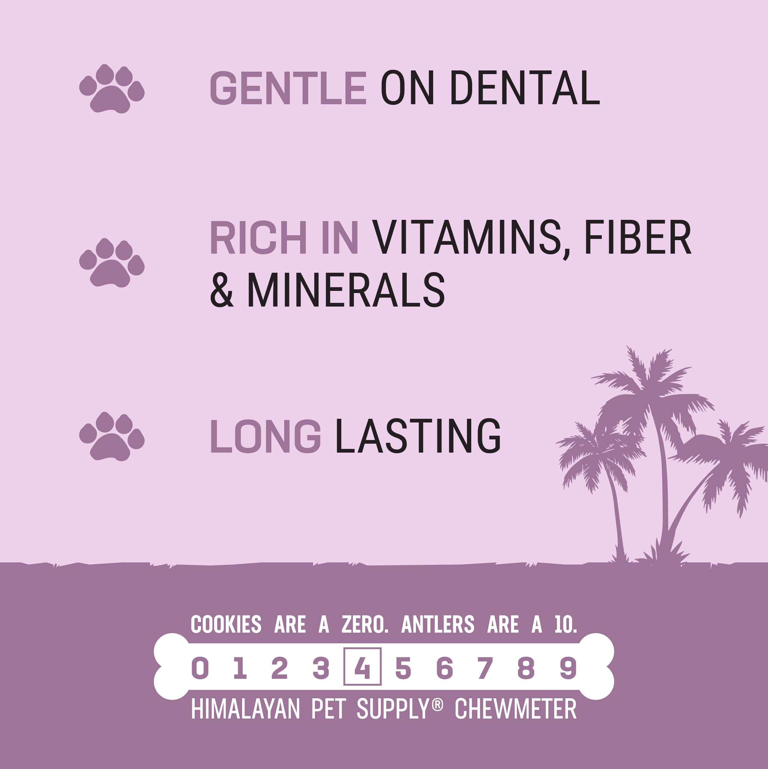 Natural Coconut & Himalayan Cheese Dog Chew - Long-Lasting, Protein-Rich, Stain-Free Dental Treat for Small Dogs Under 45 Lbs | 100% Grain-Free, Lactose-Free & Gluten-Free | Perfect for Teething, Training & Indoor Use Without Strong Odor